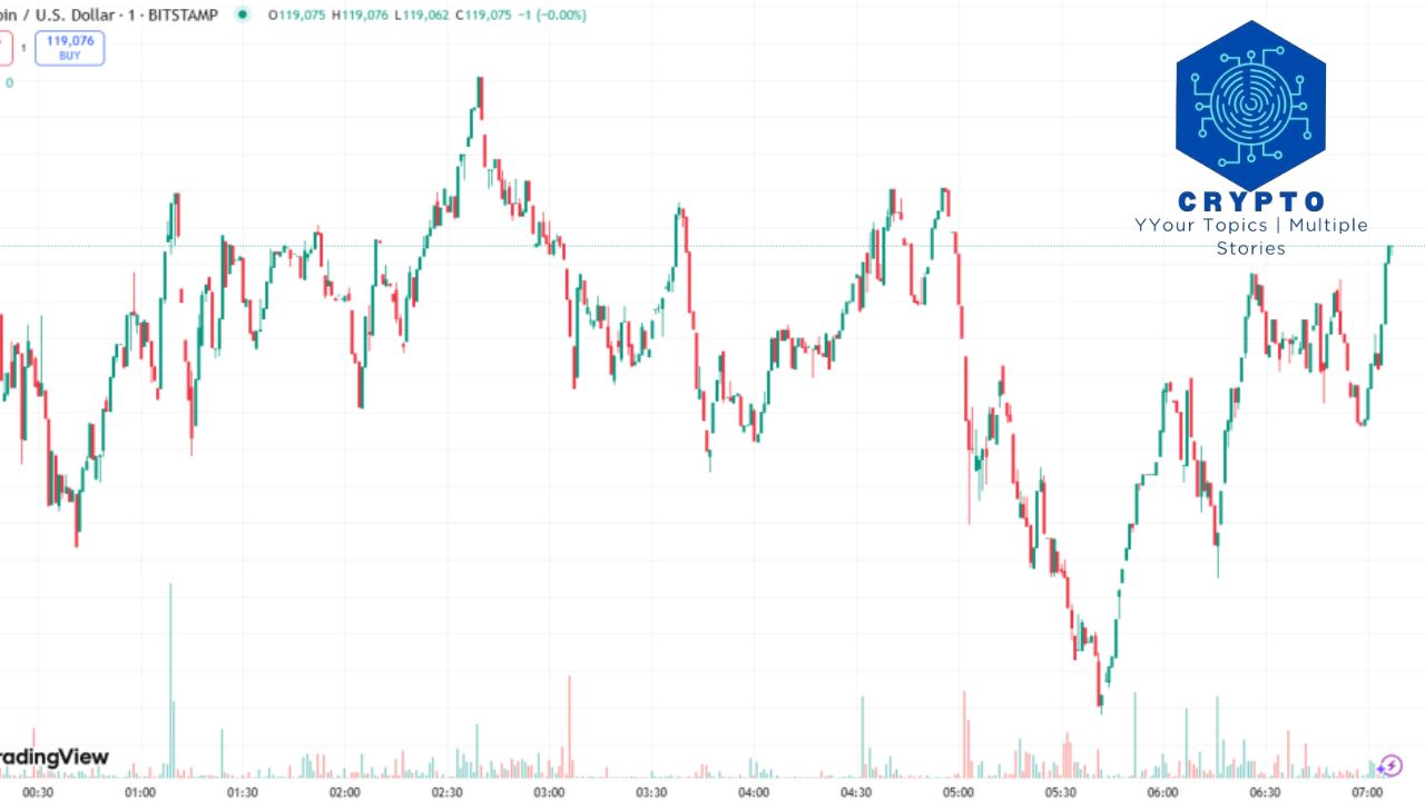 CoinViewCap Explained Crypto Prices, Charts & Market Data