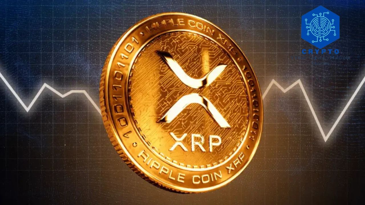 XRP ETF News Explained Approval Status, Impact, and Outlook
